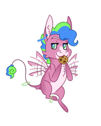 Size: 800x1000 | Tagged: safe, artist:jackiebloom, derpibooru import, oc, oc:disco inferno, hybrid, mule, cookie, food, leonine tail, male, mouth hold, offspring, parent:pinkie pie, pegamule, simple background, solo, transparent background