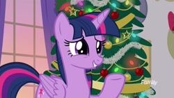 Size: 1920x1080 | Tagged: safe, derpibooru import, screencap, twilight sparkle, twilight sparkle (alicorn), alicorn, pony, the hearth's warming club, christmas, christmas tree, cute, discovery family logo, female, grin, hearth's warming tree, holiday, mare, smiling, solo, squee, tree, twiabetes, underhoof