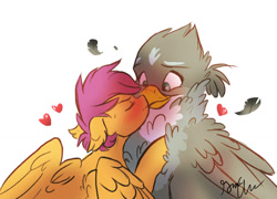 Size: 1024x739 | Tagged: safe, artist:shellielle, gabby, scootaloo, griffon, pony, blushing, blushing profusely, eyes closed, female, fluffy, gabbyloo, heart, height difference, kissing, lesbian, looking at each other, looking down, older, older scootaloo, shipping, size difference, sweat