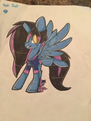 Size: 1024x1365 | Tagged: safe, artist:umiimou, twilight sparkle, twilight sparkle (alicorn), oc, alicorn, pegasus, pony, clothes, plushie, shirt, traditional art