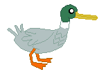 Size: 153x106 | Tagged: safe, artist:watermelon changeling, derpibooru exclusive, duck, mallard, male, ms paint, picture for breezies, simple background, solo, white background