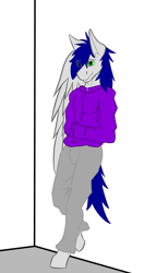 Size: 4000x7000 | Tagged: safe, artist:dolorem, derpibooru import, oc, oc:cloudy night, anthro, pegasus, clothes, hoodie, male, missing wing, one winged pegasus, solo, standing