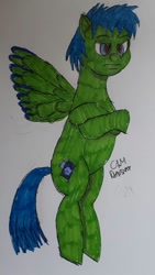 Size: 738x1312 | Tagged: safe, artist:rapidsnap, derpibooru import, oc, oc only, oc:rapidsnap, crossed arms, flying, solo, traditional art, unamused