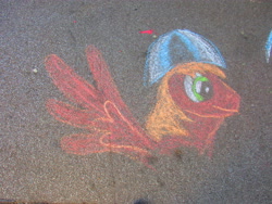 Size: 5152x3864 | Tagged: safe, artist:malte279, oc, oc only, oc:leafhelm, pegasus, pony, absurd resolution, chalk drawing, irl, photo, solo, traditional art