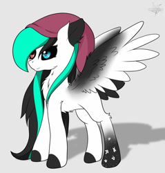 Size: 1024x1069 | Tagged: safe, artist:drarkusss0, derpibooru import, oc, oc only, oc:kiaruh, pegasus, pony, beanie, female, hat, heterochromia, long hair, long mane, simple background, solo, standing, white background