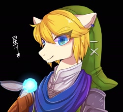 Size: 2382x2177 | Tagged: safe, artist:hosikawa, derpibooru import, earth pony, pony, armor, black background, clothes, fairy, hat, link, male, ponified, simple background, stallion, the legend of zelda