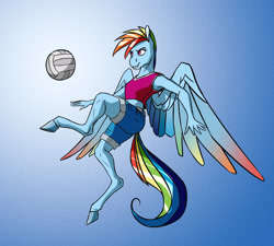 Size: 4212x3792 | Tagged: safe, artist:akweer, derpibooru import, rainbow dash, anthro, unguligrade anthro, clothes, colored wings, female, gradient background, midriff, multicolored wings, shorts, solo, sports, sports shorts, spread wings, volleyball, wings