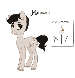 Size: 1276x1322 | Tagged: safe, artist:spectrumnightyt, derpibooru import, oc, oc:mouadh, earth pony, pony, male, reference sheet, simple background, solo, stallion, transparent background