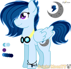 Size: 1024x994 | Tagged: safe, artist:sleppchocolatemlp, derpibooru import, oc, pegasus, pony, female, mare, offspring, parent:rainbow dash, parent:soarin', parents:soarindash, reference sheet, simple background, solo, transparent background