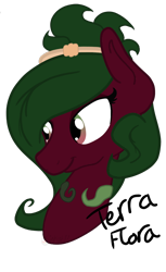 Size: 1080x1770 | Tagged: safe, artist:binkyt11, oc, oc only, oc:terra flora, pony, bust, female, mare, older, solo