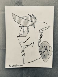 Size: 1536x2048 | Tagged: safe, artist:thesignedpainter, derpibooru import, oc, oc:digital import, hippogriff, bust, head, hippogriff oc, male, monochrome, solo, traditional art