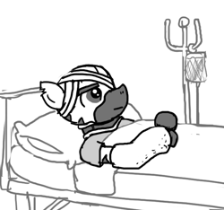 Size: 640x600 | Tagged: safe, artist:ficficponyfic, oc, oc only, zebra, adult, bandage, cast, colt quest, gurney, hospital, injured, male, monochrome, pillow, solo, stallion, story included, upset