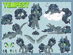 Size: 1024x768 | Tagged: safe, artist:nebulanovia, derpibooru import, oc, oc:tempest, pegasus, pony, cloud, female, mare, on back, one eye closed, reference sheet, solo, tongue out, wink