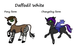 Size: 600x378 | Tagged: safe, artist:ebusukuabalindi, oc, oc only, changeling, okapi, changeling oc, reference sheet