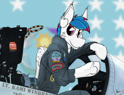 Size: 3001x2309 | Tagged: safe, artist:kamithepony, oc, oc only, oc:kami, pegasus, pony, f-14 tomcat, patches, theartistwastoostupidtouploadthecorrectfile, top gun