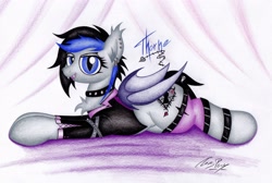 Size: 3064x2057 | Tagged: safe, artist:thechrispony, oc, oc only, oc:thorne, bat pony, pony, collar, piercing, prone, solo, traditional art