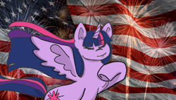 Size: 1024x587 | Tagged: safe, artist:nokno, twilight sparkle, twilight sparkle (alicorn), alicorn, pony, 4th of july, american flag, female, fireworks, flag, holiday, mare, murica, solo, song reference, star spangled banner, united states