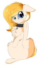 Size: 1024x1487 | Tagged: safe, artist:little-sketches, oc, oc only, oc:noroi, pony, chest fluff, collar, eye clipping through hair, female, floppy ears, heterochromia, mare, pet tag, raised leg, simple background, solo, transparent background