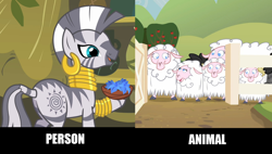 Size: 1534x872 | Tagged: safe, edit, edited screencap, screencap, zecora, sheep, zebra, comparison