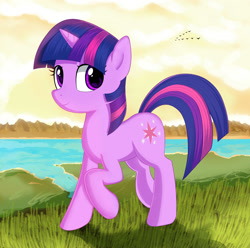 Size: 2000x1985 | Tagged: safe, artist:kas92, twilight sparkle, unicorn twilight, bird, pony, unicorn, lake, raised hoof, smiling, solo, water