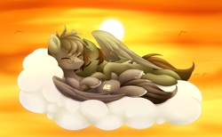 Size: 4500x2778 | Tagged: safe, artist:scarlet-spectrum, oc, oc only, pegasus, pony, absurd resolution, cloud, commission, cuddling, cute, eyes closed, gay, glasses, male, sleeping, stallion, sun