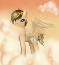 Size: 1818x2000 | Tagged: safe, artist:xxspidersilkxx, oc, oc only, pegasus, pony, cloud, heterochromia, solo