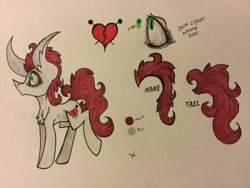 Size: 2048x1536 | Tagged: safe, artist:monochromepony625, oc, oc only, oc:pin cushion, photo, solo, traditional art