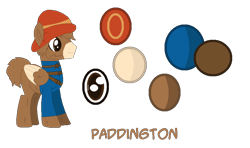 Size: 884x524 | Tagged: safe, artist:mixelfangirl100, paddington bear, ponified, reference sheet, solo