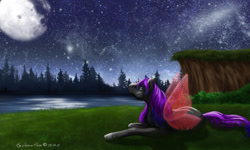 Size: 1024x615 | Tagged: safe, artist:jaimep, oc, oc only, forest, lake, moon, scenery, solo, stars