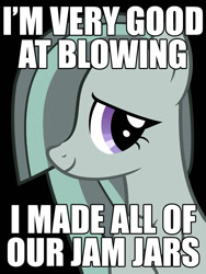 Size: 750x1000 | Tagged: safe, marble pie, earth pony, pony, black background, cute, female, glassblowing, gray coat, image macro, innocent innuendo, innuendo, mare, meme, painfully innocent marble, paraprosdokian, purple eyes, raised hoof, raised leg, simple background, smiling, solo, text, two toned mane