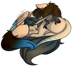 Size: 697x645 | Tagged: safe, artist:sweetmelon556, oc, oc only, pegasus, pony, unicorn, female, mare, offspring, parent:oc:fianna, parent:oc:sky, parents:oc x oc, prone, siblings, simple background, sleeping, transparent background