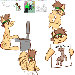 Size: 1000x1000 | Tagged: safe, artist:rigamortis_man, oc, oc only, oc:cluster walnut, pegasus, pony, drawing, headband