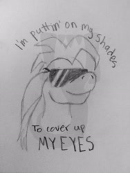 Size: 2448x3264 | Tagged: safe, artist:joethefennec, dinosaur, pony, velociraptor, bruno, obtrusive watermark, ridingsolo, solo, sunglasses, traditional art, watermark