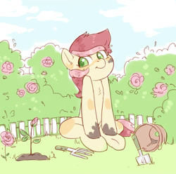 Size: 1280x1271 | Tagged: safe, artist:aphphphphp, roseluck, fence, flower, flower pot, hedge, rose, solo