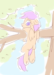 Size: 1280x1772 | Tagged: safe, artist:aphphphphp, scootaloo, hanging, nervous, solo, tree