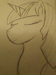 Size: 3120x4160 | Tagged: safe, artist:silversthreads, twilight sparkle, twilight sparkle (alicorn), alicorn, pony, absurd resolution, daily sketch, sketch, solo, traditional art