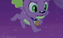 Size: 286x175 | Tagged: safe, screencap, spike, dog, equestria girls, equestria girls (movie), solo, spike the dog