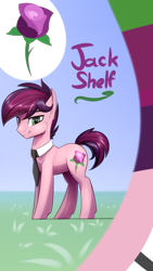 Size: 1080x1920 | Tagged: safe, artist:starfall-spark, oc, oc only, oc:jack shelf, earth pony, pony, male, necktie, reference sheet, solo