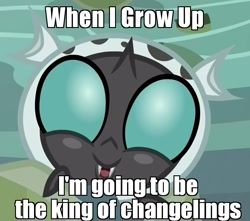 Size: 830x735 | Tagged: safe, edit, edited screencap, screencap, thorax, changedling, changeling, changeling larva, the times they are a changeling, to where and back again, caption, cropped, cute, cuteling, image macro, king thorax, looking at you, meme, smiling, solo, thorabetes, younger