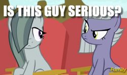 Size: 1002x594 | Tagged: safe, edit, edited screencap, screencap, limestone pie, marble pie, pony, rock solid friendship, discovery family logo, image macro, meme, question, raised eyebrow, reaction image