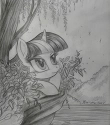 Size: 1932x2192 | Tagged: safe, artist:rainwaterfallszone, twilight sparkle, grayscale, lake, monochrome, night, prone, solo, stars, traditional art, tree, water