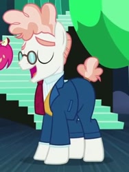 Size: 276x368 | Tagged: safe, screencap, svengallop, pony, the mane attraction, solo, when he smiles