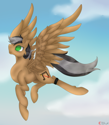 Size: 1024x1181 | Tagged: safe, artist:anxiouslilnerd, oc, oc only, oc:artsong, pegasus, pony, flying, present, sky, solo