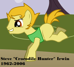 Size: 413x375 | Tagged: safe, artist:didgereethebrony, earth pony, pony, pony creator, australia, recreaction, solo, steve irwin