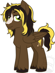 Size: 532x700 | Tagged: safe, artist:tambelon, oc, oc only, oc:honey comb, pegasus, pony, male, solo, stallion