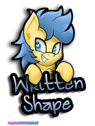 Size: 1662x2182 | Tagged: safe, artist:tonystorm12, oc, oc only, oc:writtenshape, earth pony, pony, badge, colt, male, simple background, solo, transparent background
