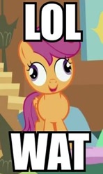 Size: 190x320 | Tagged: safe, edit, edited screencap, screencap, scootaloo, pegasus, pony, derp, female, filly, folded wings, image macro, lol, meme, open mouth, reaction image, scootaderp, smiling, solo, stairs, wat