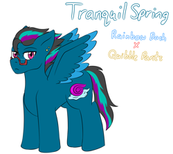 Size: 1800x1600 | Tagged: safe, artist:jolliapplegirl, oc, oc only, oc:tranquil spring, pegasus, pony, bio, male, next generation, offspring, parent:quibble pants, parent:rainbow dash, parents:quibbledash, solo, stallion