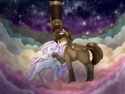 Size: 2654x1990 | Tagged: safe, artist:rosewend, oc, oc only, oc:dove, oc:ranger, bat pony, pegasus, pony, date, duo, female, male, oc x oc, pair, shipping, stars, stellar, straight, telescope