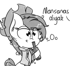 Size: 3149x2935 | Tagged: safe, artist:pastelhorses, oc, oc only, oc:mansanasdiyak, beer bottle, chest fluff, clothes, fillipino, grayscale, hat, international aj, international coalition of applehorses, monochrome, not applejack, shirt, solo